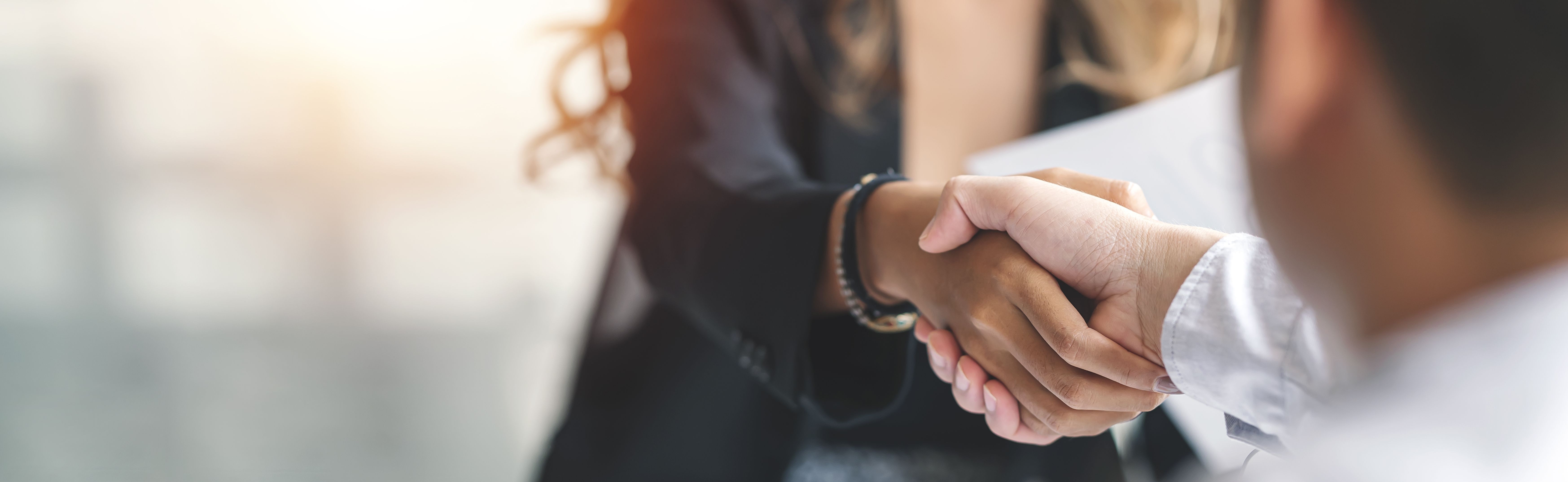 Einkaufsbedingungen der Ronda AG